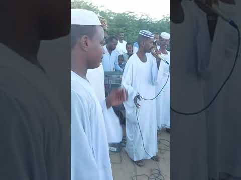 جديد الشاعر محمد الطيب بابكر