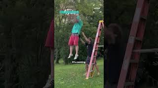 Thats One Way To Cut Your Trees 😂
