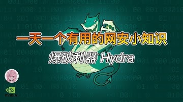 网安必看：Hydra 爆破工具从入门到防守（只做授权环境）