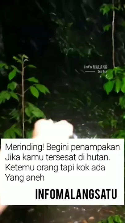 Bikin merinding!Ini ilustrasi tersesat di hutan lalu ketemu orang di situasi aneh tt/mevallzuzuzu1