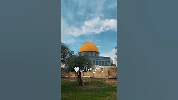 لو قلت لي روحي فداك Shorts Subscribe الوطن العربي الاردن فلسطين 