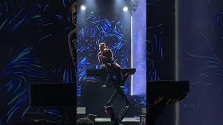 Motive Lacivert Konser