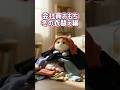 会社員おもち〜冬の衣替え編 #cat #猫 #aicat #ai猫 #animation #cute #catvideos