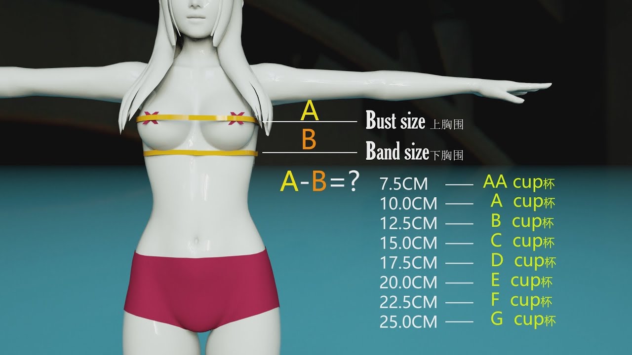 Comparison: Average Women Breast-size by Country 