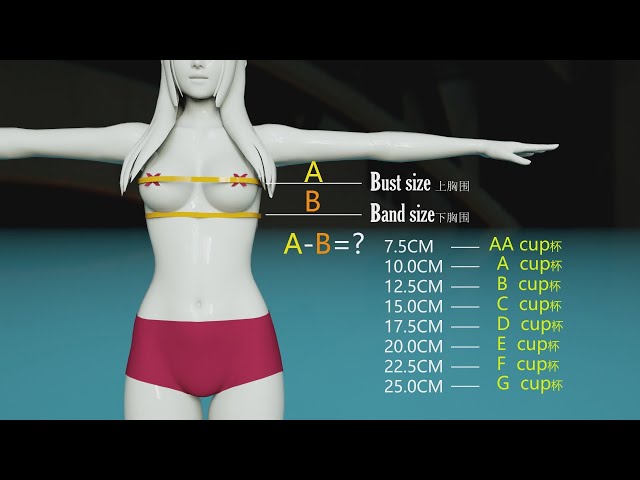 Girls cup size comparison，Which one is your favorite? 
