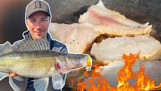 Catch & Cook Zander - THE BEST FISH FOR FOOD?! | Team Galant