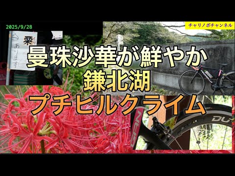 タケノコ山 タケノコ山（北海道） | YAMAP / ヤマップ