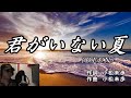 名曲Cover【君がいない夏】DEEN 名探偵コナンエンディング曲