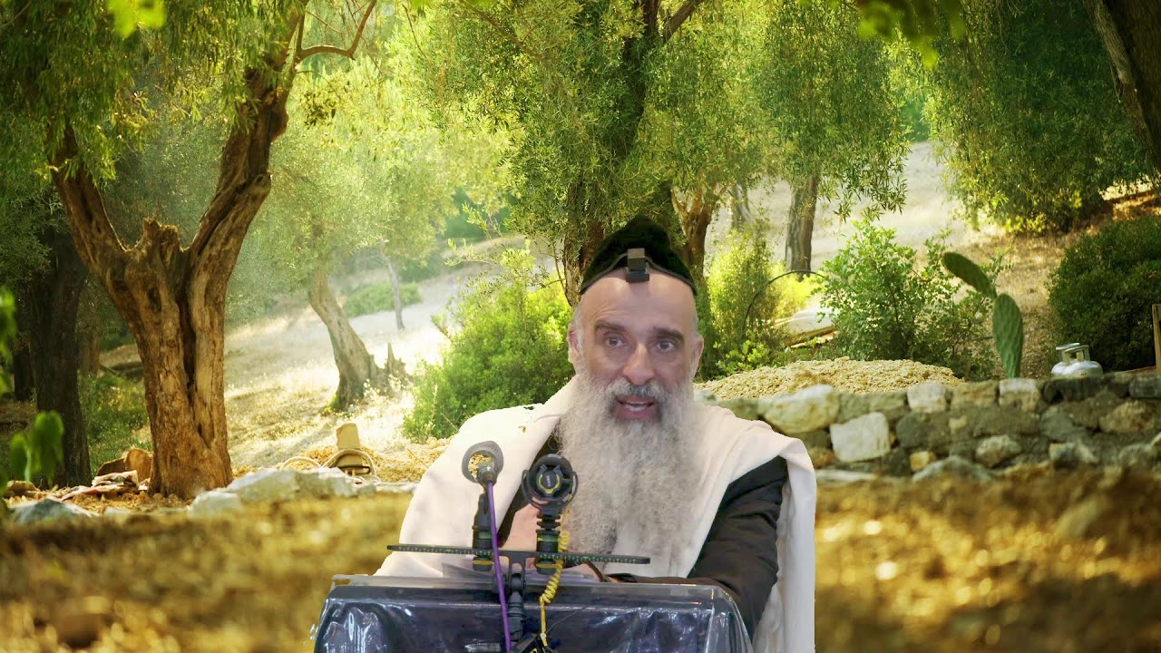 שיחתו של מו"ר ראש הישיבה הרב מאיר דוד שמואלי שליט"א בנושא : ואע"פ שיתמהמה אם כל זה אחכה לו!