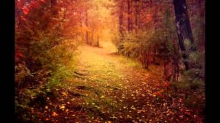 Skyforest - Autumnal Embrace chords