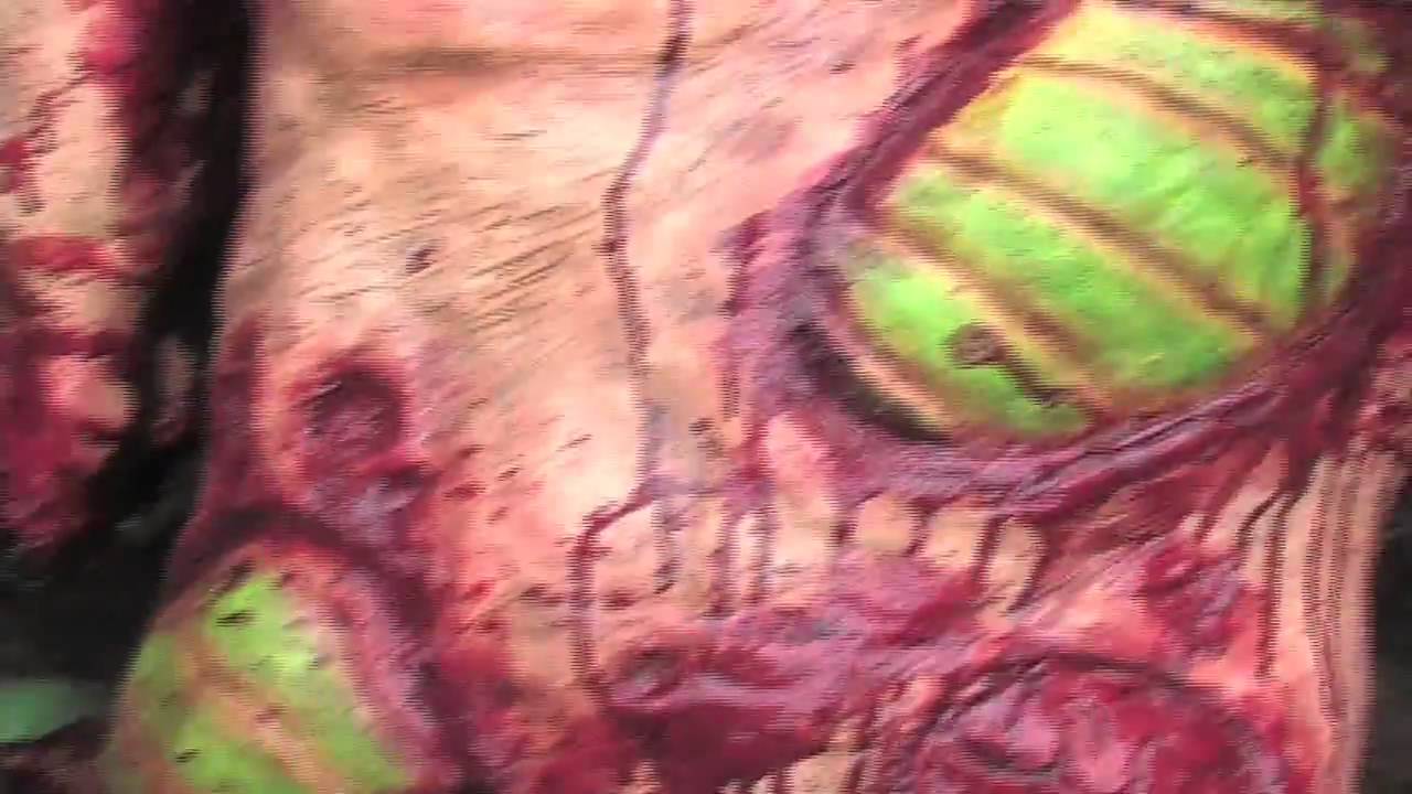 Grub Torso Rotting Body halloween prop