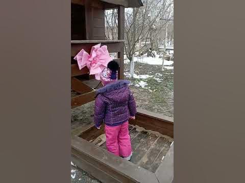 сюрприз - YouTube