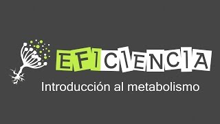 Introduction To Metabolism Catabolism Anabolism Autotrophs Heterotrophs