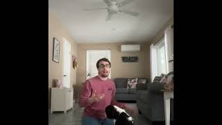 How to teach the leave it cue