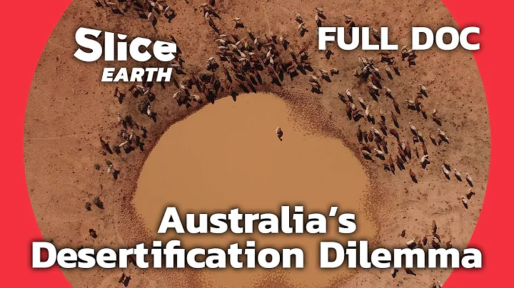 Outback Resilience: Australia's Ancient Solutions to Modern Desertification | SLICE EARTH | FULL DOC - DayDayNews