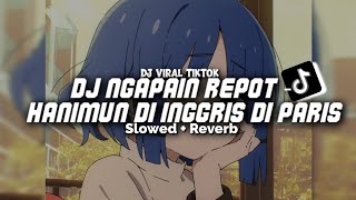 Download Lagu DJ NGAPAIN REPOT - HANIMUN DI INGGRIS DI PARIS ( Slowed \u0026 Reverb ) MP3