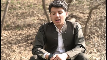 مسلم الهموندي سوره الشمس { وَالشَّمْسِ وَضُحٰىهَا (1) وَالْقَمَرِ إِذَا تَلٰىهَا ..😍