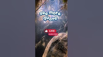 Do not go where the path may lead go instead where there is no path and.... #ralphwaldoemerson