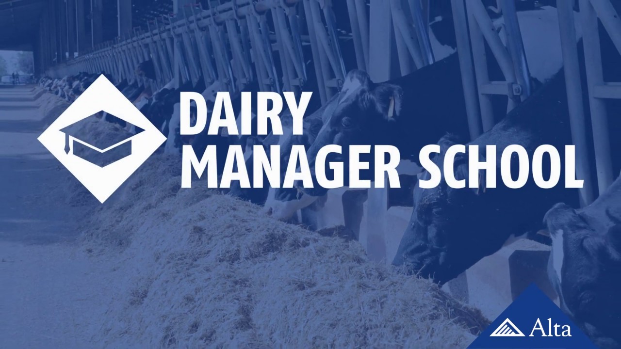DMS Dairy Manager Schools YouTube