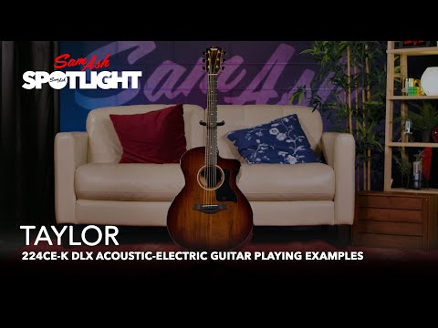 Taylor 224ce-K DLX Acoustic-Electric Guitar Playing