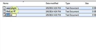How to Rename Multiple Items in a File All at Once : Computer Files & Data screenshot 3