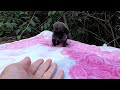 Rescue tiny puppy eating food residue in garbage dump