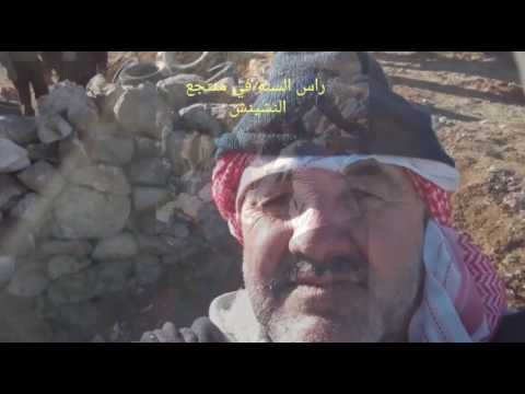 منتجع النشينش