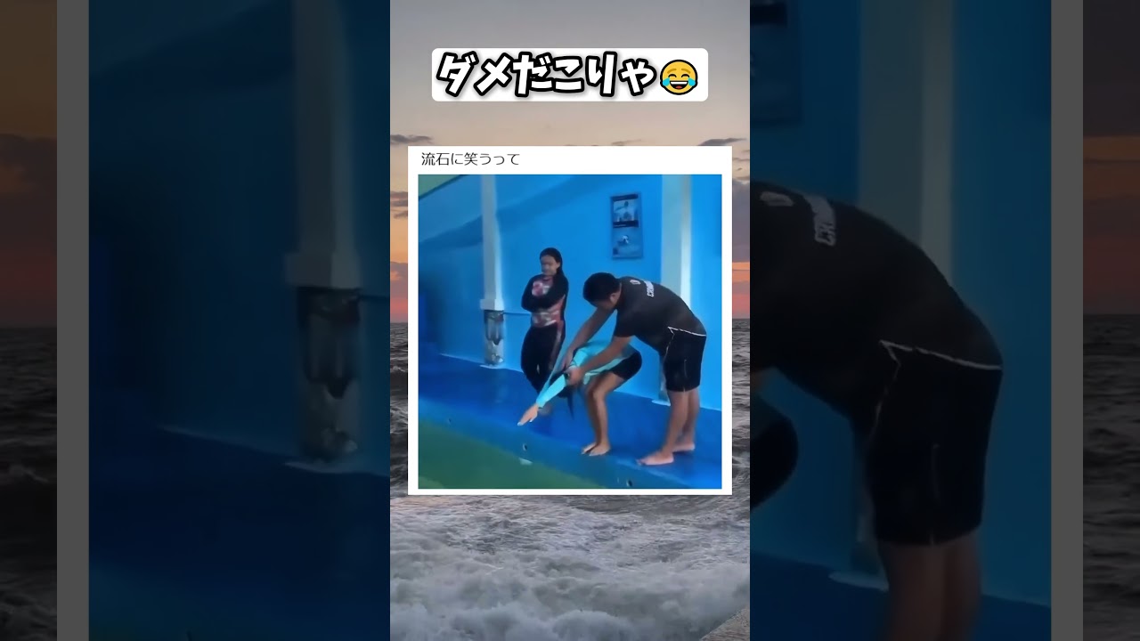 気持ちはわかる #おもしろ #面白い #海外