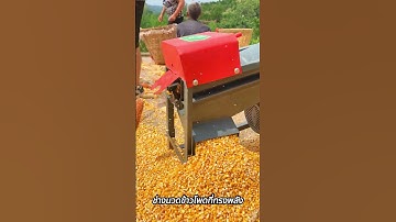 This corn thresher can process 3,000 kilograms of corn per hour. #thresher