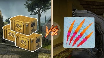 Stickers Vs Cases Debate - Operation Broken Fang Investments