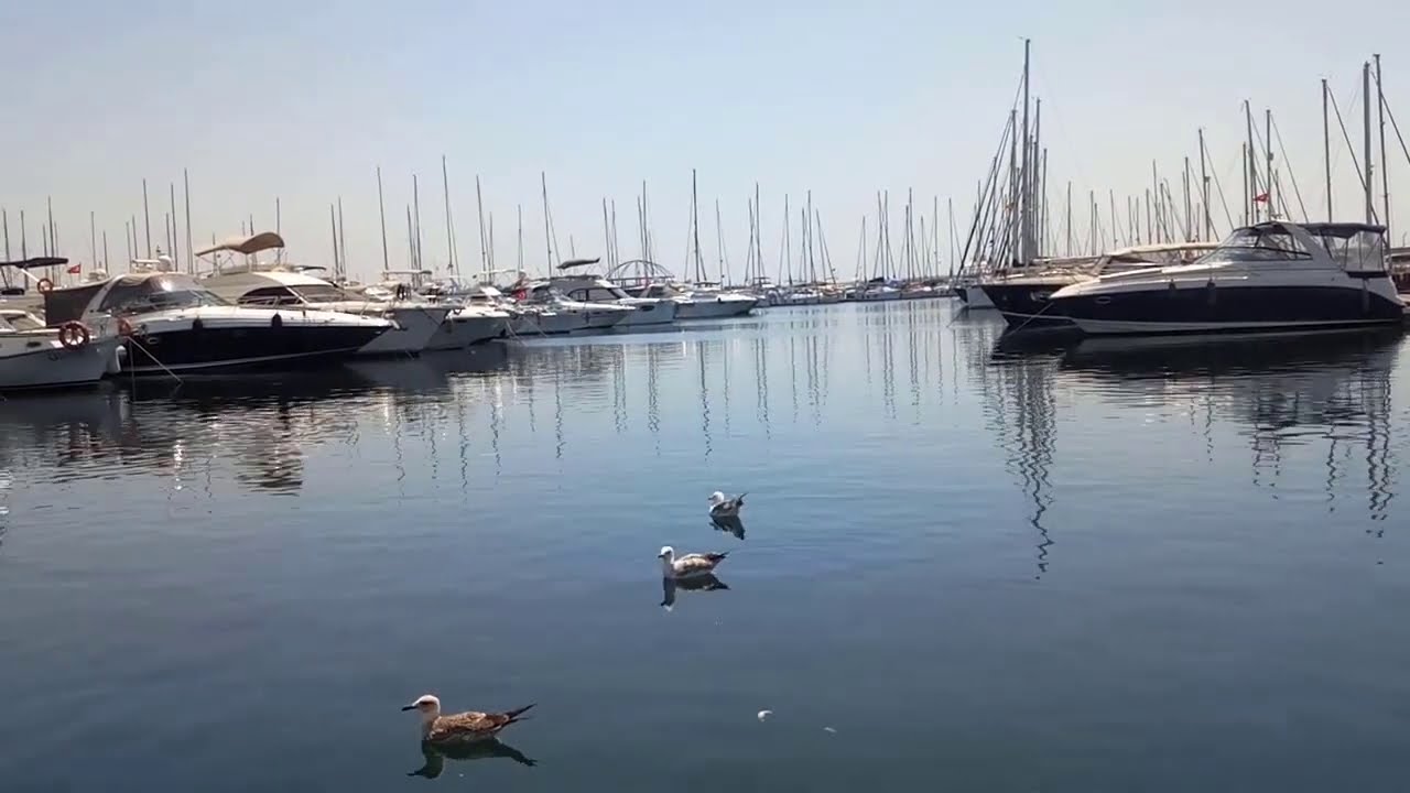 Вест марина стамбул