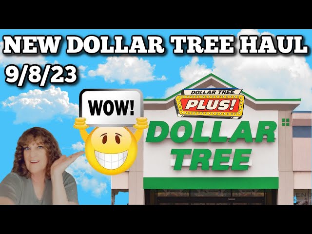 Dollar Tree Haul (All New Items)