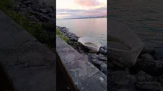 Quand on se promène au bord de l'eau.. #suisse #genève #swizerland #chansonfrancaise #jeangabin #333