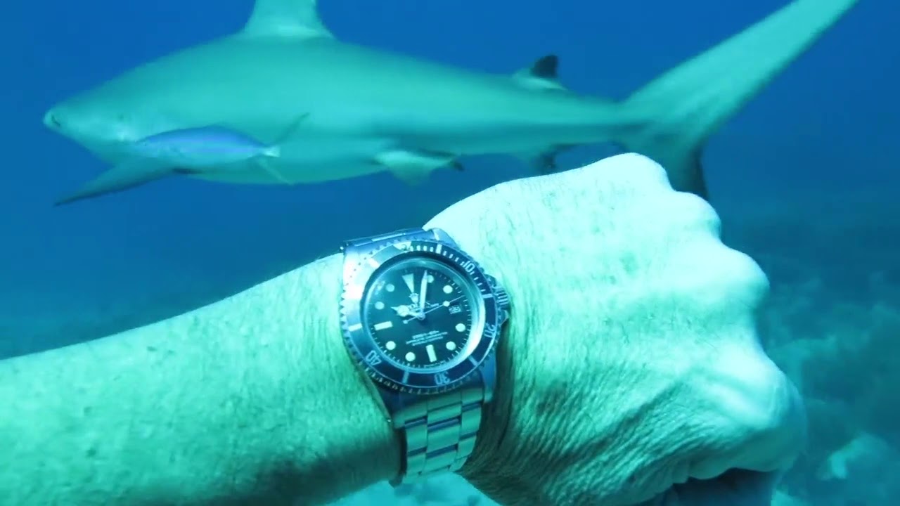 rolex submariner underwater