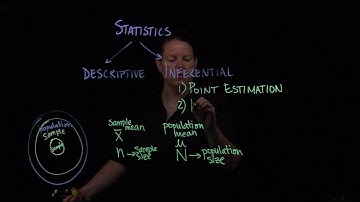 Statistics: Branches