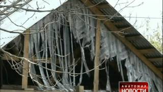 Видео Анатомия новости. Вольготная жизнь (автор: GuberniaTV)