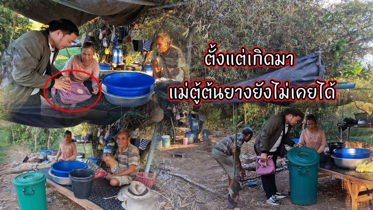 ตั้งแต่เกิดมาแม่ตู้ต้นยางยังไม่เคยได้ 1 มีนาคม ค.ศ. 2026