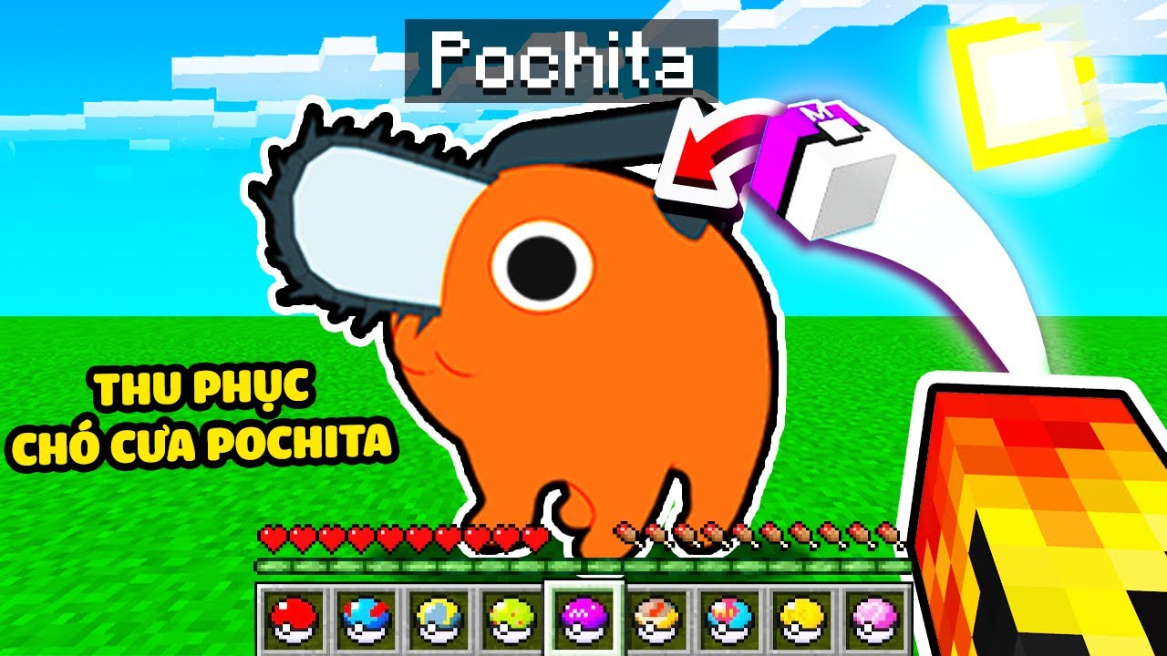 JACKVN THỬ THÁCH THU PHỤC POKEMON CHÓ CƯA POCHITA TRONG MINECRAFT*NẾU ...