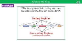 OCR Gateway A B5.1.5   Mutations Higher Summary