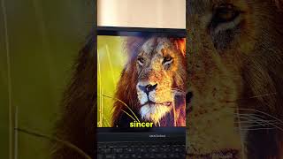 ASUS Zenbook 14 UM3406KA | NeoComputer