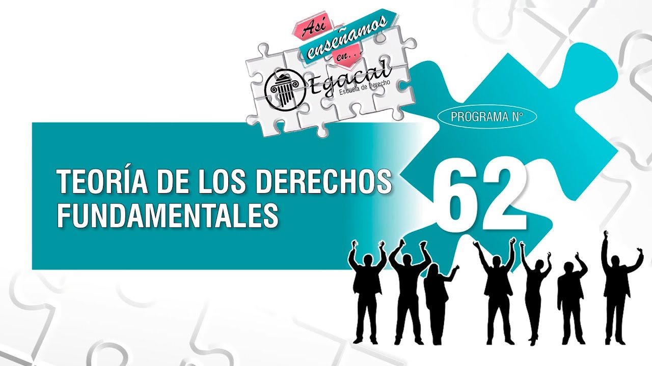 Teoría de los Derechos Fundamentales  - AEE 62