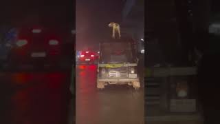 Fearless Dog Rides Atop an Auto Rickshaw