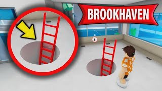 Information I Tried 16 Crazy Hospital Secrets in Brookhaven on Roblox News