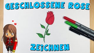 Rose einfach malen für Kinder | ab 6 Jahren | Malen mit Evi | deutsch