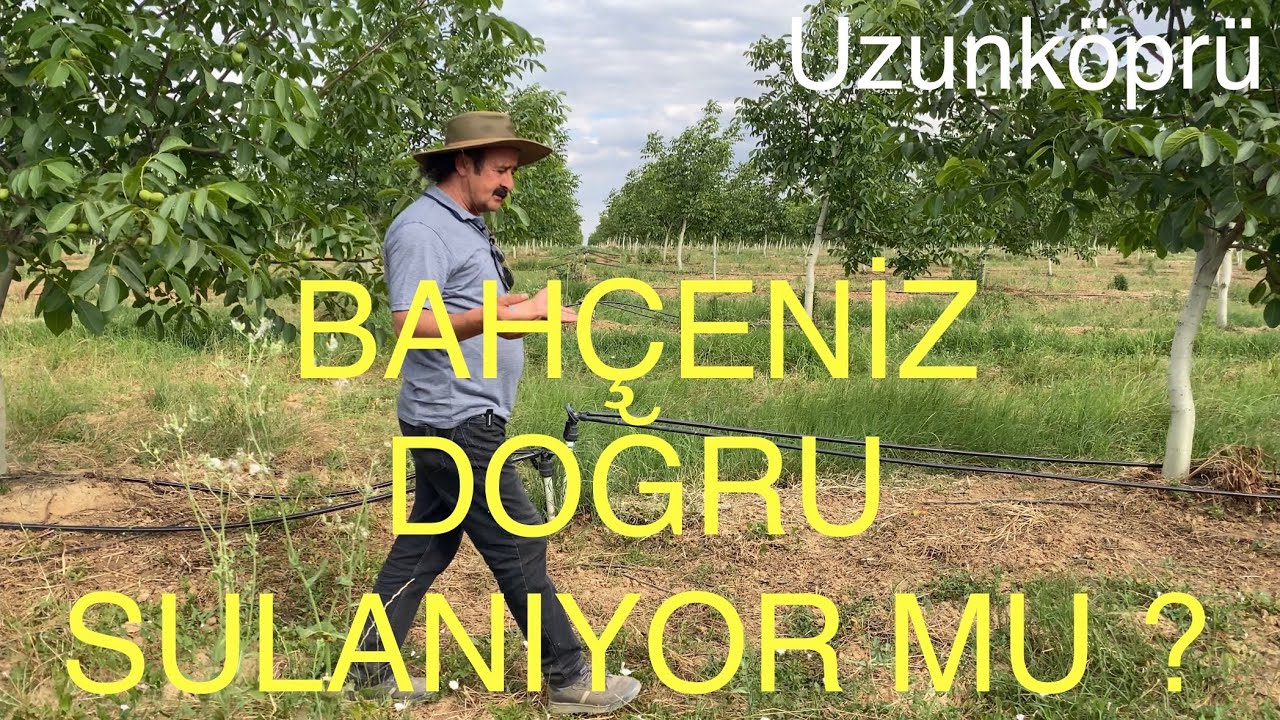 BAHÇENİZ DOĞRU SULANIYOR MU ? SULAMA SİSTEMİNİZ DOĞRU YAPILMIŞ MI? Ceviz Adam Ahmet