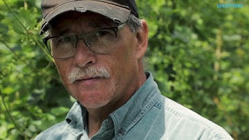 Canadian Hop farmer increased yield under drought conditions with Sensoterra soil moisture sensors