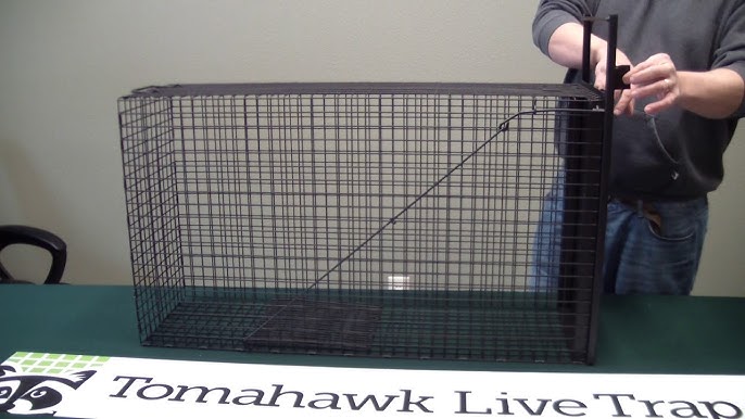 New Video: How to Set the Little Giant® Live Animal Traps - Miller