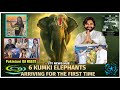 Pawan Kalyan Brings Kumki Elephants from Karnataka | Jyoti Malhotra Exposed as Spy?