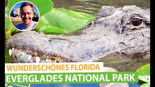 Everglades National Park in Florida: On the trails, alligators and wildlife