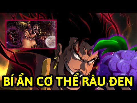 Bí Ẩn Về Cơ Thể RÂU ĐEN! TEACH Sẽ Có Trái Ác Quỷ Thứ 3? ROCK D. XEBEC Sở Hữu YAMI YAMI No Mi?